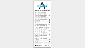 [수도권]채널A 서울-경기 지역 케이블 채널