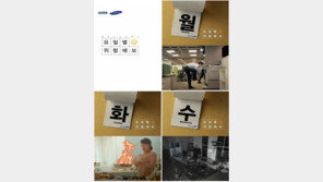 일주일 내내, 요일 별로 책임지는 보험?