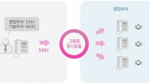 [유무선 결합시대] 070 인터넷 전화 100% 뽀개기