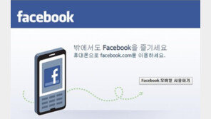 페이스북 가치, “국내에서 조사한다면 결과는?”