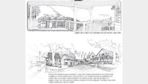 [O2/이장희의 미국 스케치 여행]<2> 애팔래치아 산맥 체로키 국유림