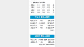 [황금사자기 고교야구]박찬호?… 장충고 박찬호 만점 활약