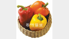 ‘반값 파프리카’ 고유가로 1년새 60% 급등