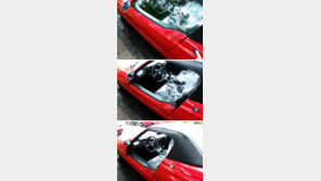 쓸데없이 편리한 차 문, “속도 개선만 하면 좋을 듯”