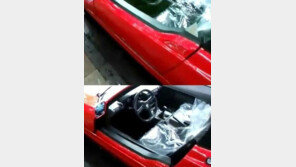 쓸데없이 편리한 차 문, ‘문 열다 속 터질 듯’