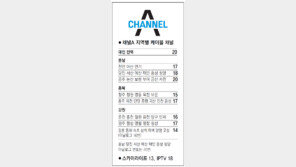 [강원][대전/충남][충북]채널A 지역별 케이블 채널