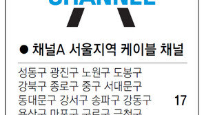 [수도권]채널A 서울지역 케이블 채널