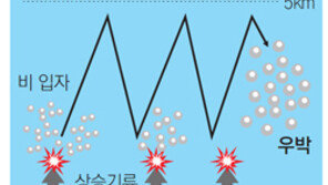 ‘게릴라 우박’ 이달 세차례… 멍든 농심