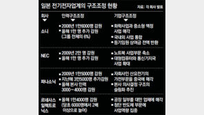 석양의 日전자왕국, 또 꺼내든 ‘감원의 칼’