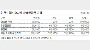 이마트 할인 항공권, 소비자는 “환영” 여행사는 “생존 위협”
