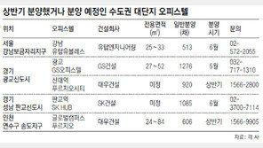 ‘나홀로 흥행’ 오피스텔, 강남 보금자리지구 공급