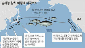 ‘후쿠시마 세슘’ 참다랑어에 미국이 놀랐다
