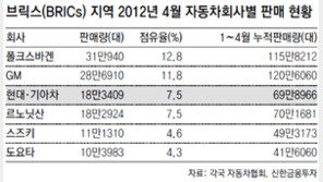 현대·기아차 ‘브릭스시장 3위 굳히기’ 부릉∼