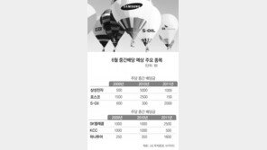 [부자됩시다]힘빠진 주식시장… 6월 중간 배당주 노려 볼까