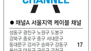 [수도권]채널A 서울지역 케이블 채널