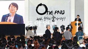 安, 입 열었지만 할 말은 안했다