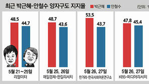 통진당 사태 안철수 지지율에는 ‘무풍’… 박근혜와 ‘대선 양자구도’ 고착 분위기