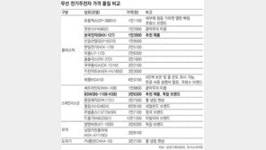 수입-국산 전기주전자… 성능 비슷, 값은 8배差