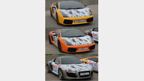 달샤벳, 억대 슈퍼카가 도대체 몇 대야? ‘깜짝’