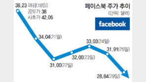 “최악 上場” 페이스북에 얼굴 돌린 증시