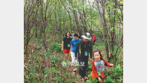[Camp]정선 ‘하이원 하늘길’ 에코투어