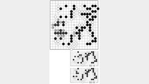 [바둑]제56기 국수전… 117, 타개의 맥점 