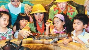 [수도권]“장수풍뎅이 만져보니 신기해요”