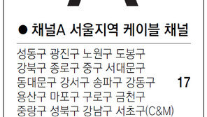 [수도권]채널A 서울지역 케이블 채널