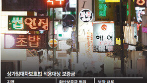  [벼랑 끝 자영업자]<下> 자영업자 보호 대책은 없나