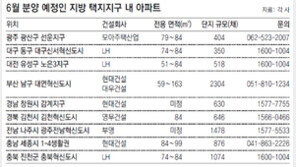 ‘주거환경-미래가치’ 동시 만족 지방 택지지구내 단지 상한가