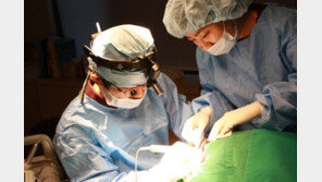 모발이식, 성공하려면 이것부터 체크해야