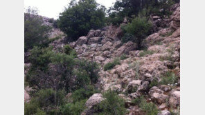 “그들을 찾을때쯤 이미 죽은 목숨”… 이스라엘 저격수의 고된 훈련!