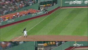 프로야구 관중퇴장 논란, 익사이팅 존에서 공 낚아채 “헐!”