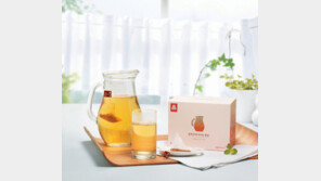 한국인삼공사 홍삼 100% 우려 마시는 제품 출시