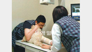 [오늘의 채널A]중증 반려동물 치료 ‘대학 동물병원’의 하루