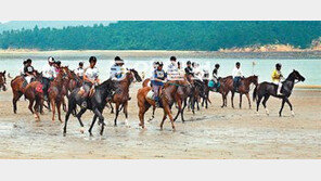 [광주/전남]馬라톤 해변으로 가요~