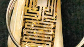 충치 알려주는 치아… 근육량 체크하는 옷… NYT매거진, 실용화 기술 32가지 소개