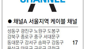 [수도권]채널A 서울지역 케이블 채널