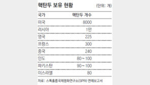 “전세계 핵탄두 8개국에 1만9000개”