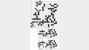 [바둑]제56기 국수전… 179 역끝내기