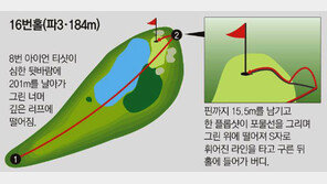 마의 16번홀, 우즈에겐 마법의 홀