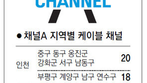 [인천/경기]채널A 지역별 케이블 채널