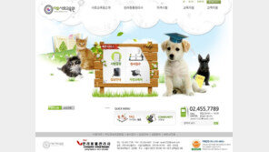 유망자격증인 반려동물관리사 자격증으로 취업고민 해결