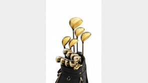 PRGR 10주년 기념 프리미엄 골드 출시 外