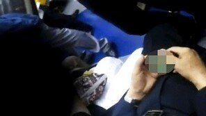 지하철 야동남, 누리꾼 ‘이어폰이라도 껴라’ 비난 봇물