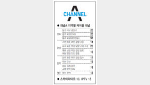 [광주/전남][전북][제주]채널A 지역별 케이블 채널