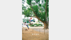 [대구/경북]“그네 타는 맛 나요”