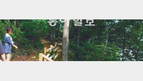 [인천/경기]옹진군 장봉-덕적-영흥도 ‘해변∼산마루 산행코스’ 정비… 등산객 부쩍