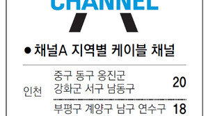 [인천/경기]채널A 지역별 케이블 채널