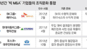둘이 한 몸 된 기업 ‘3社 3色 궁합 맞추기’